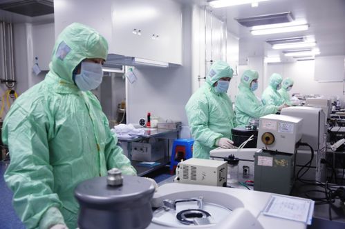 長春新區(qū) 主導(dǎo)產(chǎn)業(yè)展現(xiàn)澎湃動能 夯實高質(zhì)量發(fā)展之根