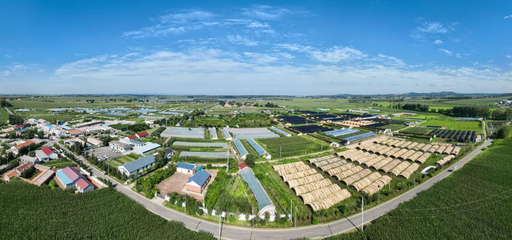 長春市現(xiàn)代菌物產(chǎn)業(yè)科技成果轉(zhuǎn)化示范基地揭牌，首屆中國（長春）靈芝孢子粉采收節(jié)盛大啟幕